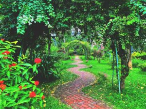 a brick path through a lush green garden