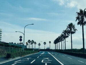 black asphalt road between palm trees during daytime