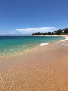 seashore during daytime